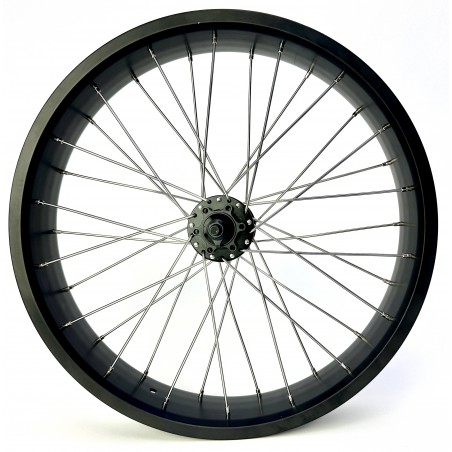 Roue Avant FatBike 20" 80mm 20x4.00 Alu Noir Mat Disque