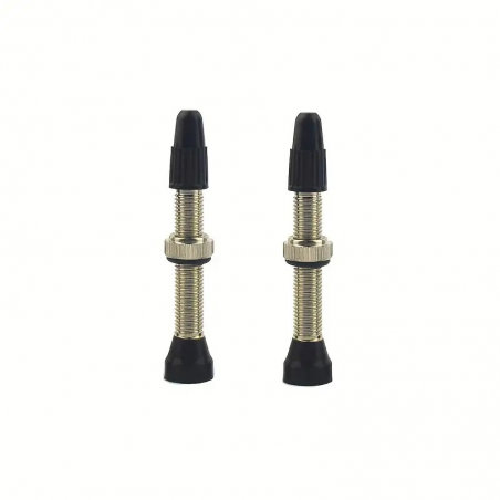 VALVE TUBELESS PRESTA LAITON ARGENT 40MM (X2)