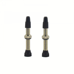 VALVE TUBELESS PRESTA LAITON ARGENT 40MM (X2)