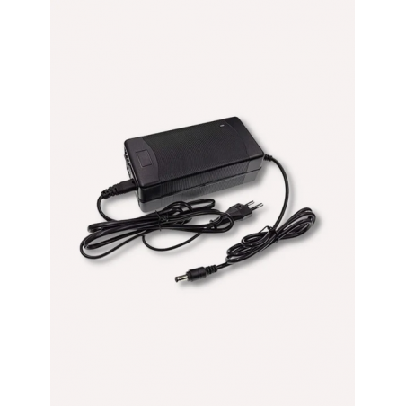 Chargeur rapide 42V 3A