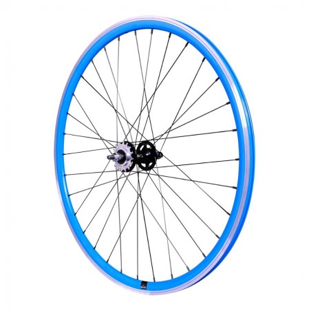 Roue Arrière Bleu Vélo Fixie Pignon Fixe Singlespeed Double Paroi 28" 700c