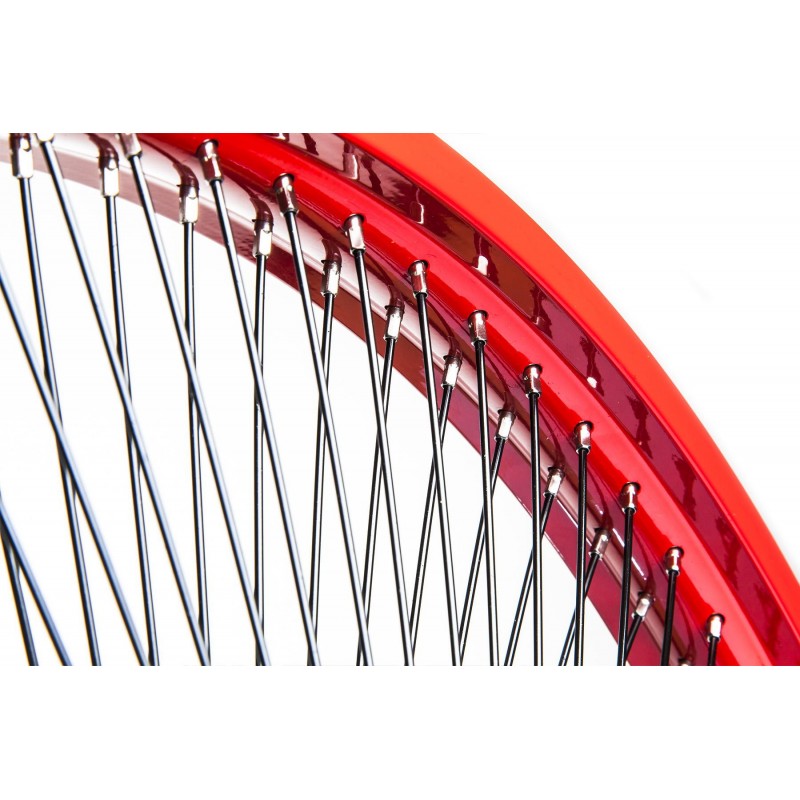 Precious - Roue Arrière Aluminium 26 36 Rayons Rétropédalage 3